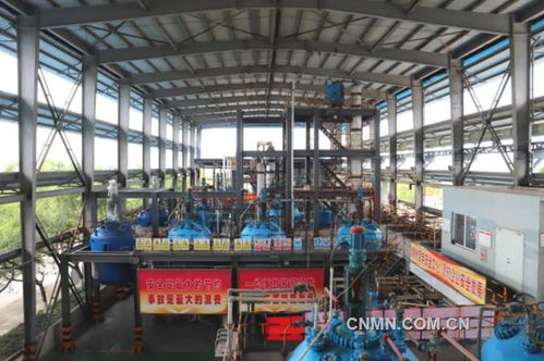 赶考路上的“新时代之问”——云南锡业锡化工材料有限责任公司改革发展纪实